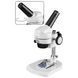 Микроскоп Bresser Junior (8852500) 928505 фото 1