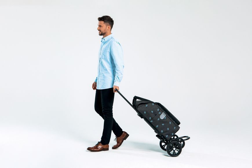 Сумка-тележка Andersen Quattro Shopper Ando Blue (185-170-90) 929984 фото