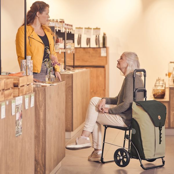 Сумка-тележка Andersen Komfort Shopper Ivar Anthracite (198-173-80) 929985 фото