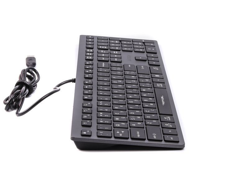 Клавиатура A4-Tech Fstyler FX-50, серый цвет, USB FX50 USB (Grey) 1605420 фото