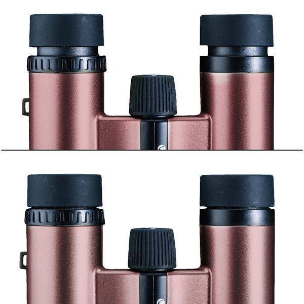 Бінокль Vanguard Vesta Compact 8x21 WP Rose Gold (Vesta 8210 Rose) DAS301035 фото