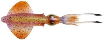 Силікон Savage Gear 3D Swim Squid 95mm 5.0g Horny Squid (4 шт/уп) 18542221 фото