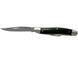 Ніж Kershaw Brandywine G-10 4382 17400493 фото 1